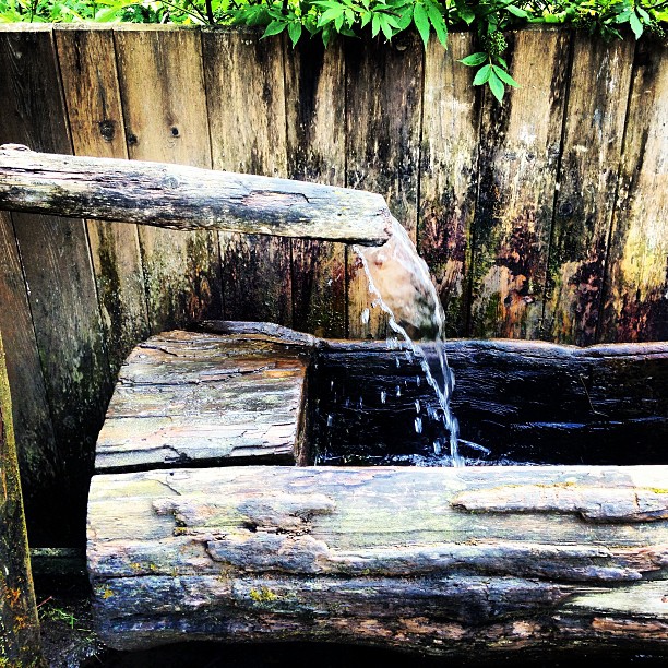 lemn si apa