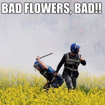 bad flowers